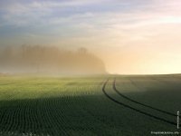 fond d ecran de Deux-Sevres Poitou Charentes - Darry