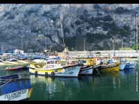 fond cran de Viviane Meaume - Portugal