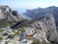 fonds d'cran de Marie-Jos Lasserre - Provence Bouches du Rhone Marseille Calanques marseillaises