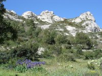 fonds cran de MaryJo Lasserre - Calanques de Marseille