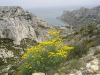 fonds ecran de MaryJo Lasserre - Calanques de Marseille