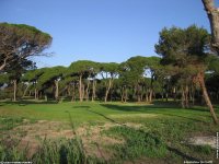 fond cran de Jean-Pierre Marro - Cote d'Azur Alpes Maritimes Mandelieu la Napoule