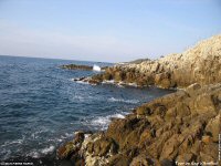 fonds cran de Jean-Pierre Marro - Sud Cote d Azur Provence Antibes Mediterranee