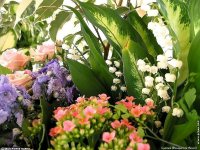 fond d ecran de Jean-Pierre Marro - Bouquets de fleurs Cote d'Azur  Provence