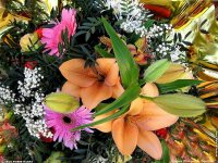 fonds d ecran de Jean-Pierre Marro - Bouquets de fleurs Cote d'Azur  Provence