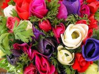 fonds d'ecran de Jean-Pierre Marro - Bouquets de fleurs Cote d'Azur  Provence