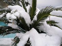 fond d ecran original de Jean-Pierre Marro - Sud Cote d Azur Provence Eze Neige (lieu du mariage Dave Evans U2)