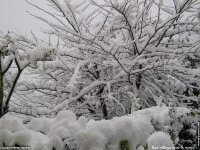 fonds ecran de Jean-Pierre Marro - Sud Cote d Azur Provence Eze Neige (lieu du mariage Dave Evans U2)