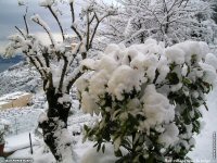 fonds d'cran de Jean-Pierre Marro - Sud Cote d Azur Provence Eze Neige (lieu du mariage Dave Evans U2)