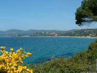 fond d ecran de Christian Belzunce - Saint Tropez Cote d'azur Provence Saint Tropez