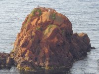 fond d ecran de Cote d'Azur Var Agay calanques - Jean-Pierre Marro