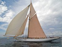 fond d ecran de Voiles de Saint-Tropez - Claude Jambeau