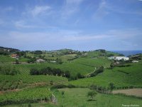 fonds d ecran de Jean-Pierre Marro - Guetaria - Guethary - Pays Basque