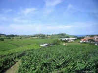 fond d ecran de Guetaria - Guethary - Pays Basque - Jean-Pierre Marro