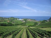 fonds ecran de Jean-Pierre Marro - Guetaria - Guethary - Pays Basque