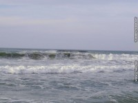 fonds d'ecran de Thierry Texier Lafleur - Biarritz surf  la plage - Pyrnes atlantiques - sud ouest - France - fond ecran