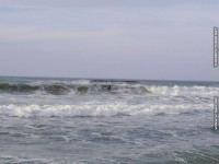 fond d ecran de Biarritz surf  la plage - Pyrnes atlantiques - sud ouest - France - fond ecran - Thierry Texier Lafleur