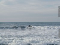 fond d ecran de Biarritz surf  la plage - Pyrnes atlantiques - sud ouest - France - fond ecran - Thierry Texier Lafleur