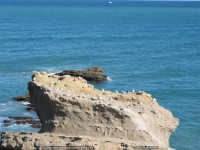 fonds d'ecran de Damienne Guerin - Sud-Ouest -  Biarritz - Fond cran de Damienne Gurin