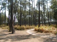 fond d ecran de Uza station balnaire sauvage des Landes - JB Raphanaud